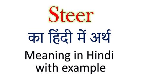 steer in hindi meaning